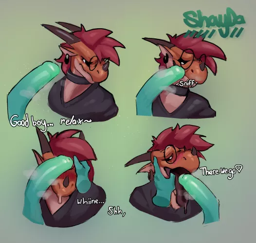 Need to break a cutie just by letting him sniff~