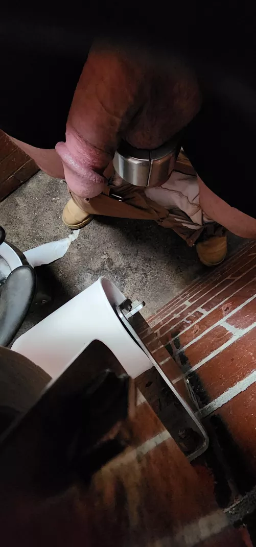 No one will suck it in the dunnies