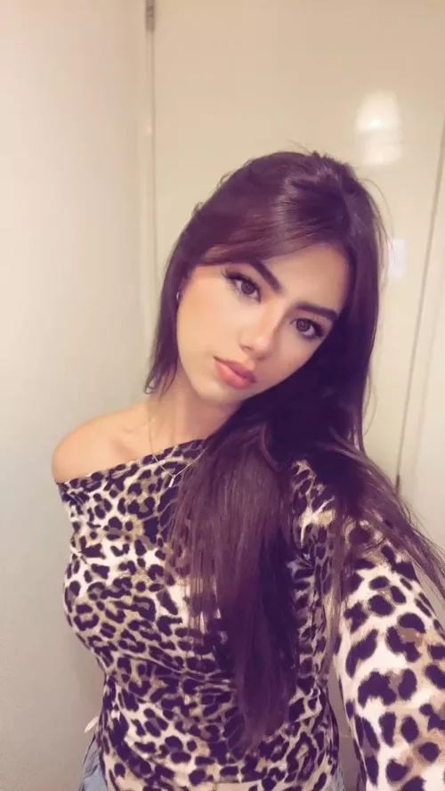 on all 4s, were you belong 