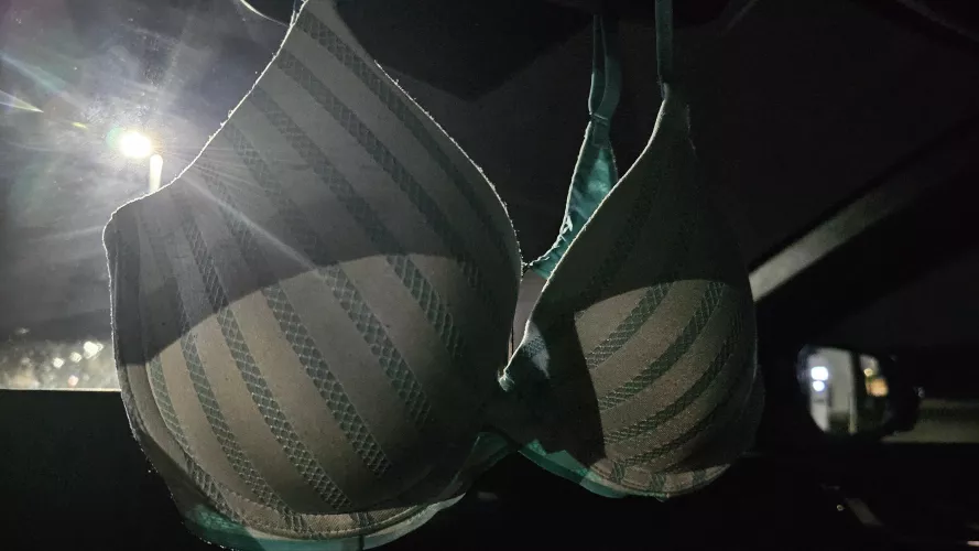 One of my favorite rear view mirror accessories