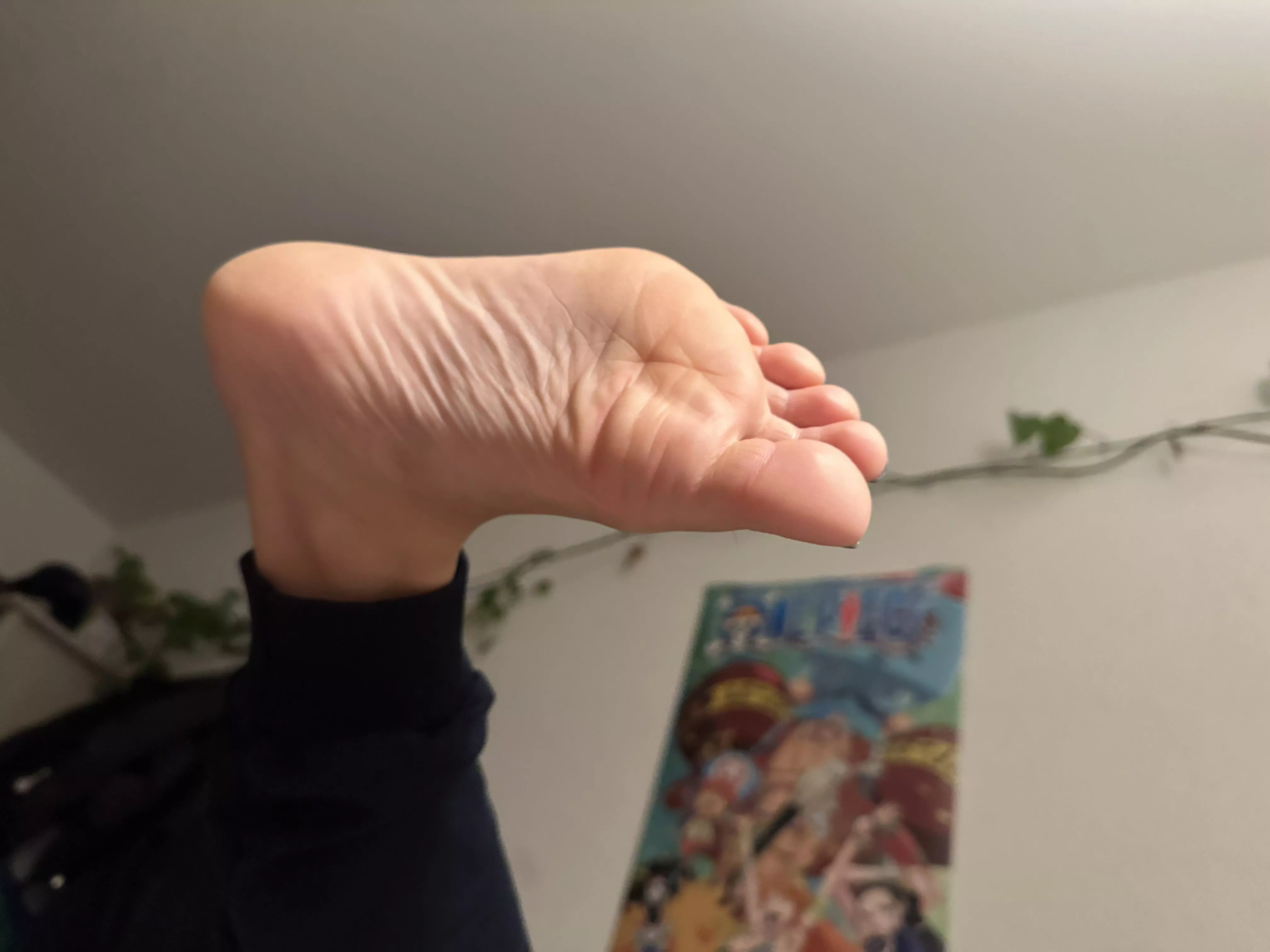 pov you judt found the one piece🥹🤍