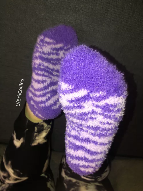 Purple softness 💜