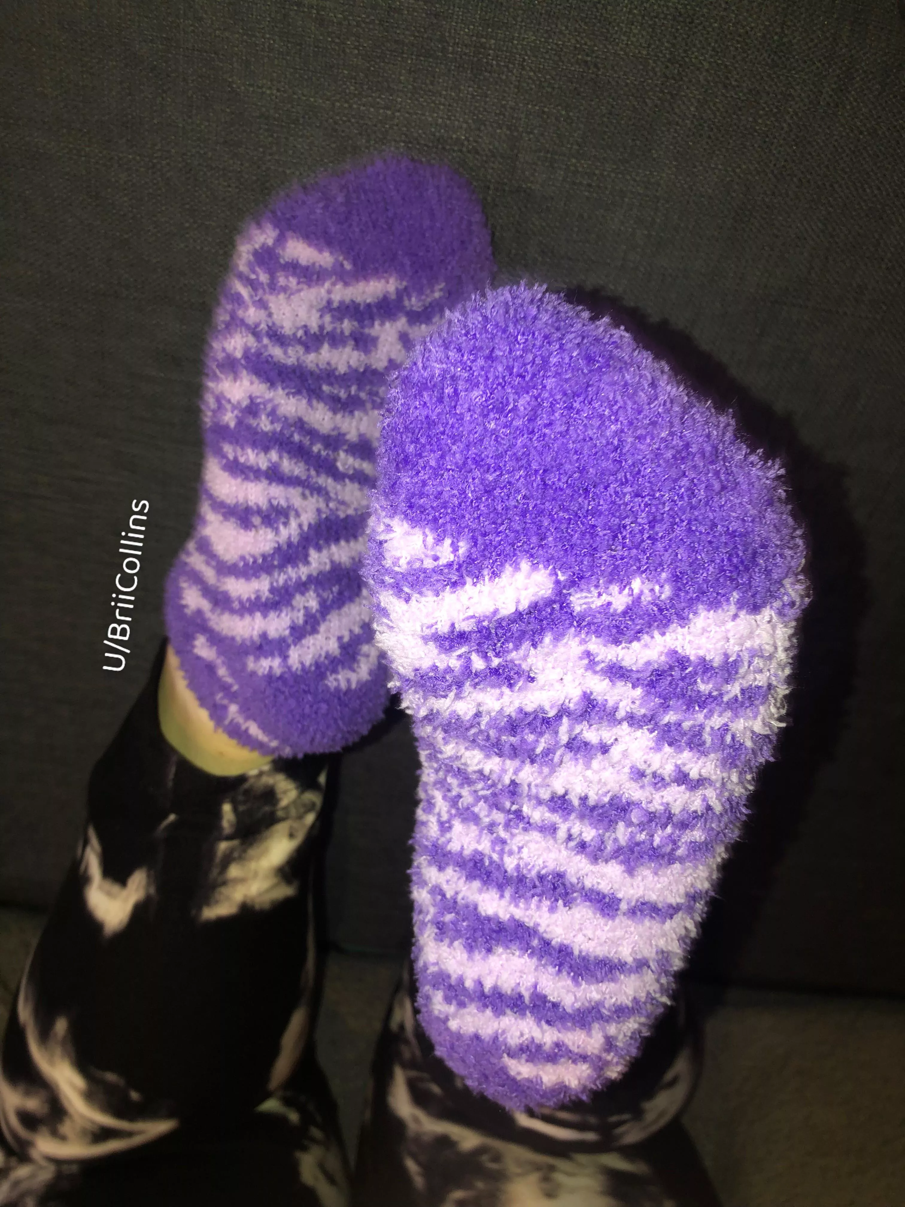 Purple softness 💜