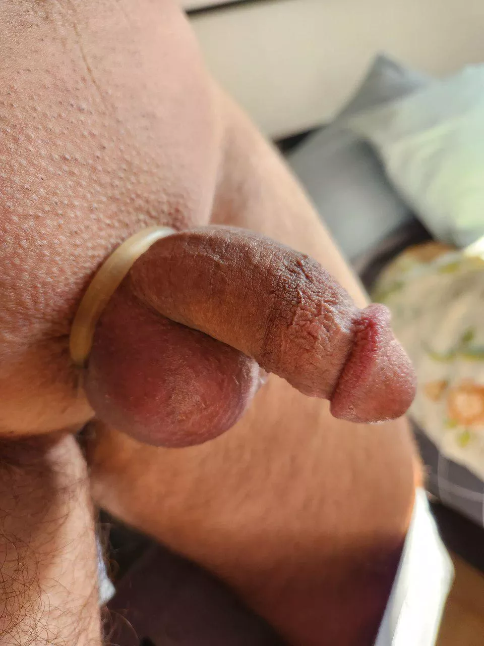 Redditors got me horny (57)