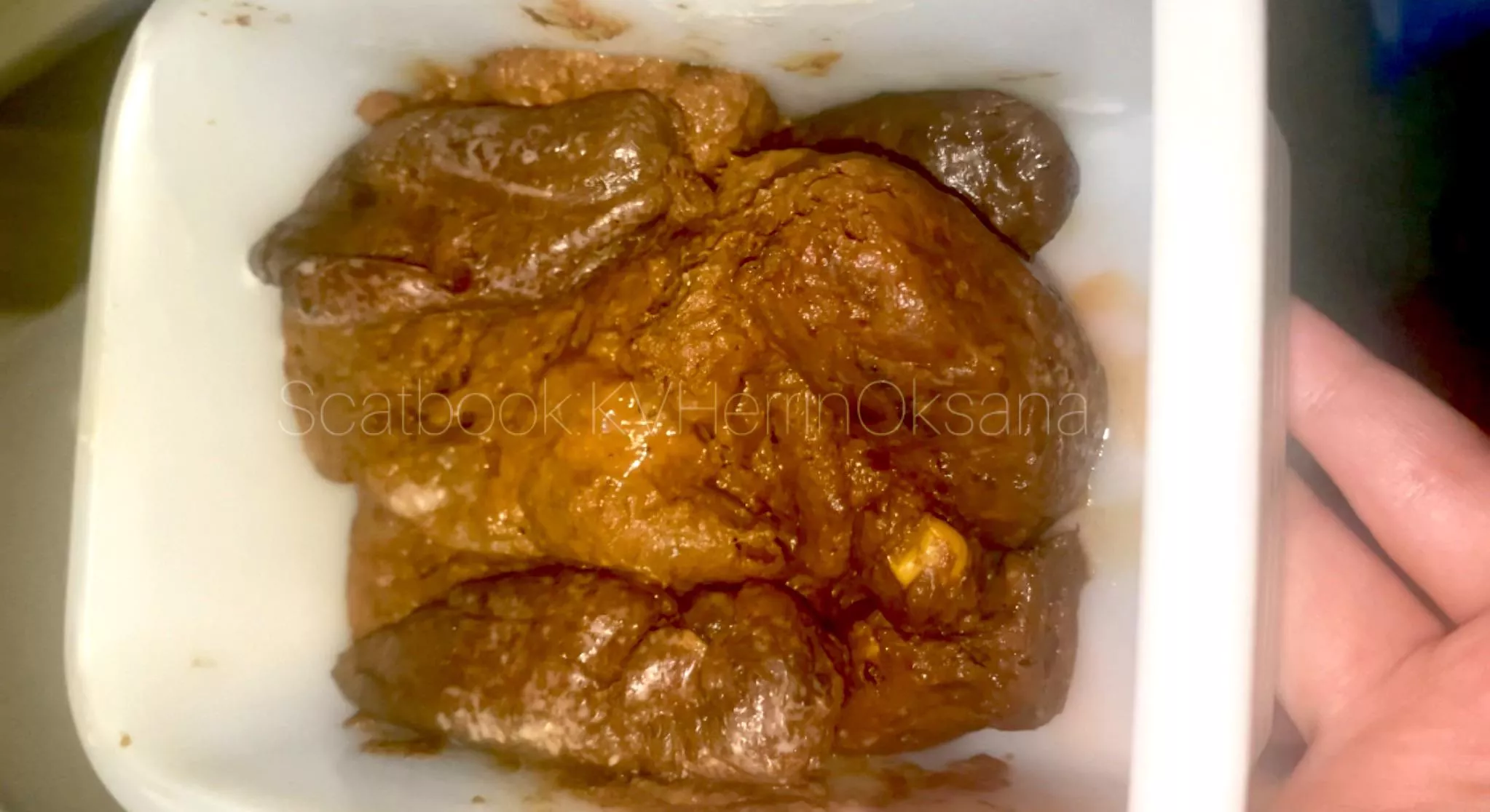 Shiteater read the Description. Now! 