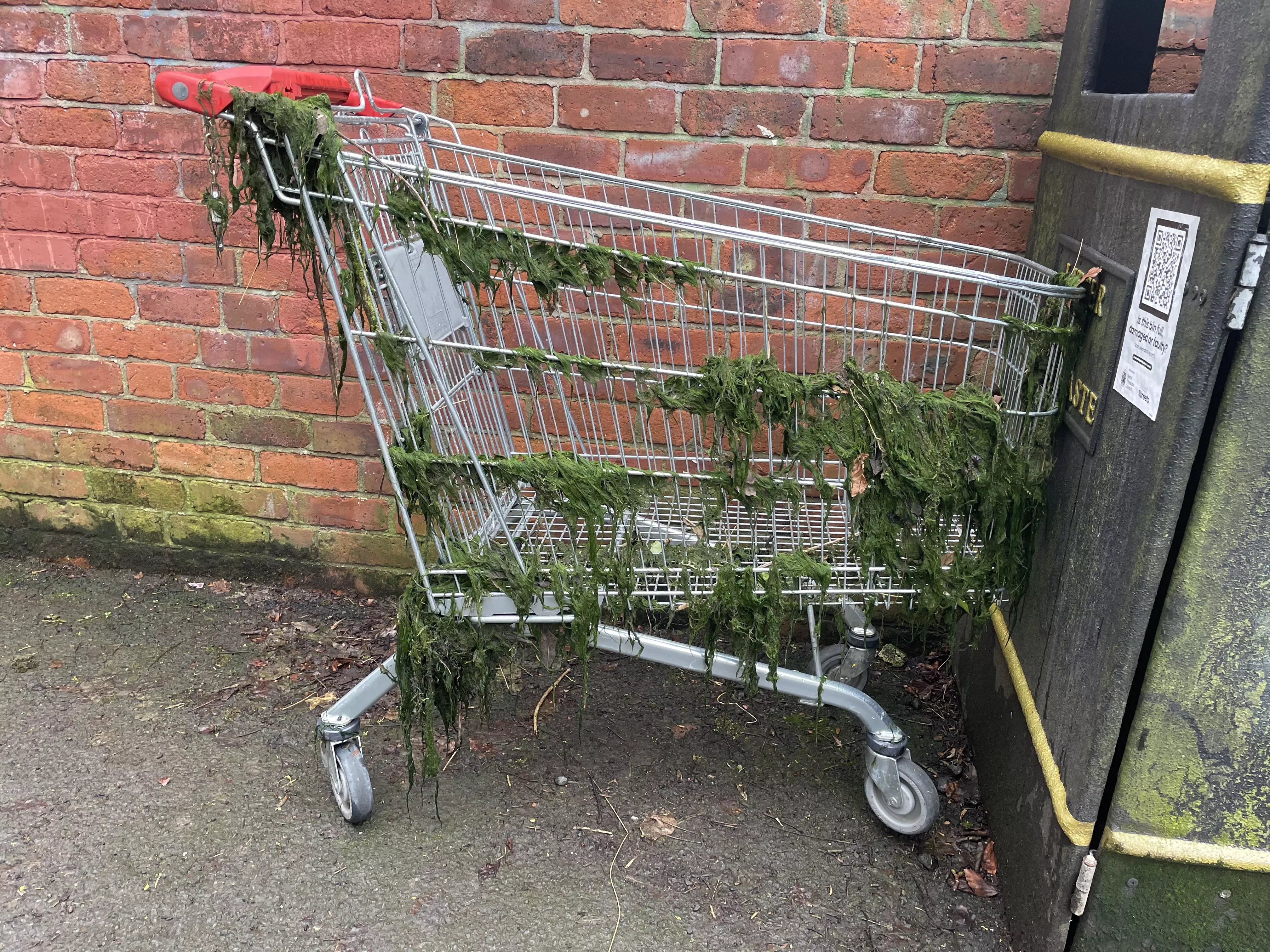 Skanky, half dressed whore, sidling up to a bin.