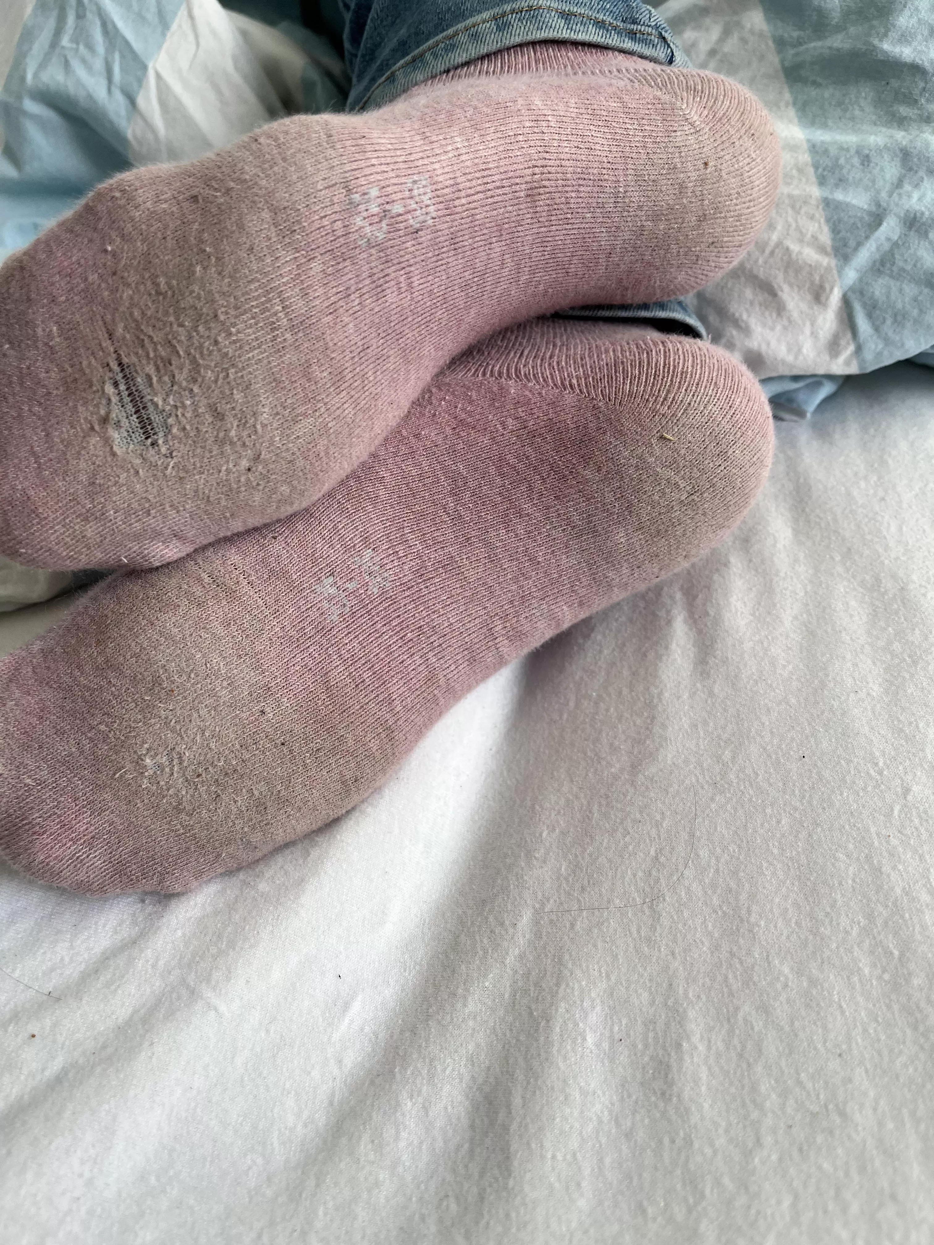 Stinky pink socks [f]