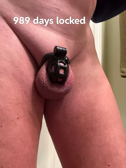 Suggestions on how to celebrate 1000 days locked! 