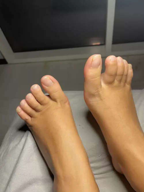 They can be all yours if you ask nicely