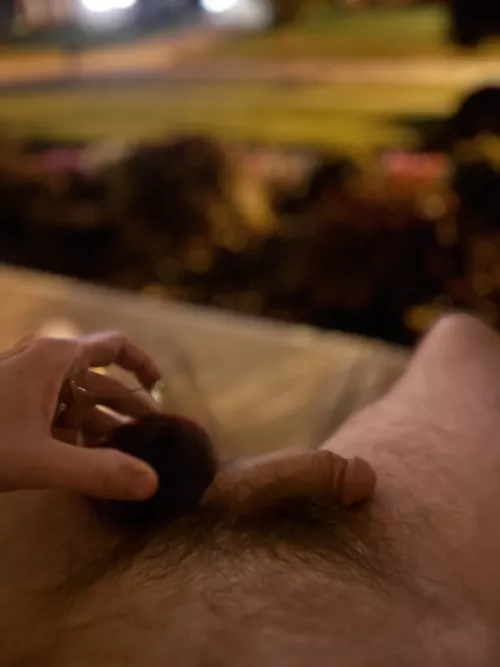 Think the neighbors noticed?