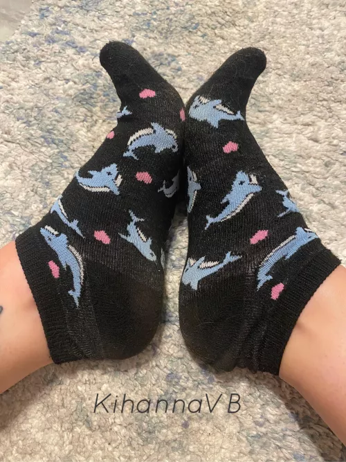This weeks socks are super smelly! [selling]