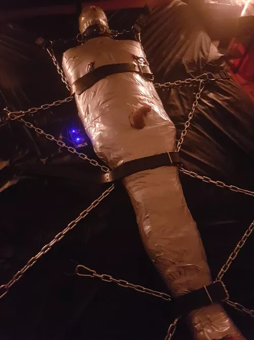 Tightly mummified, strapped down with electro pulsing away in it's hole.