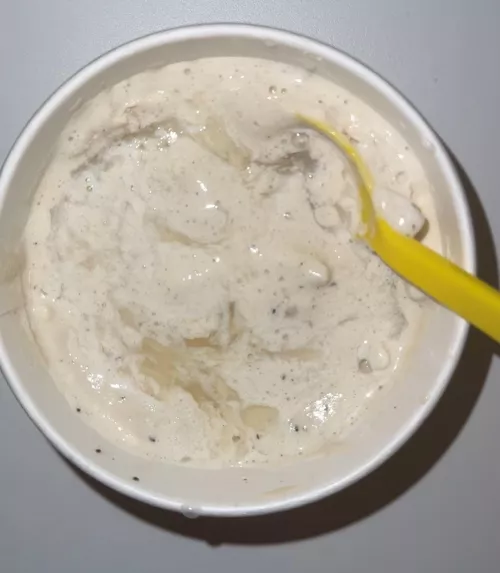 Vanilla bean Ice Cream with added salty flavor