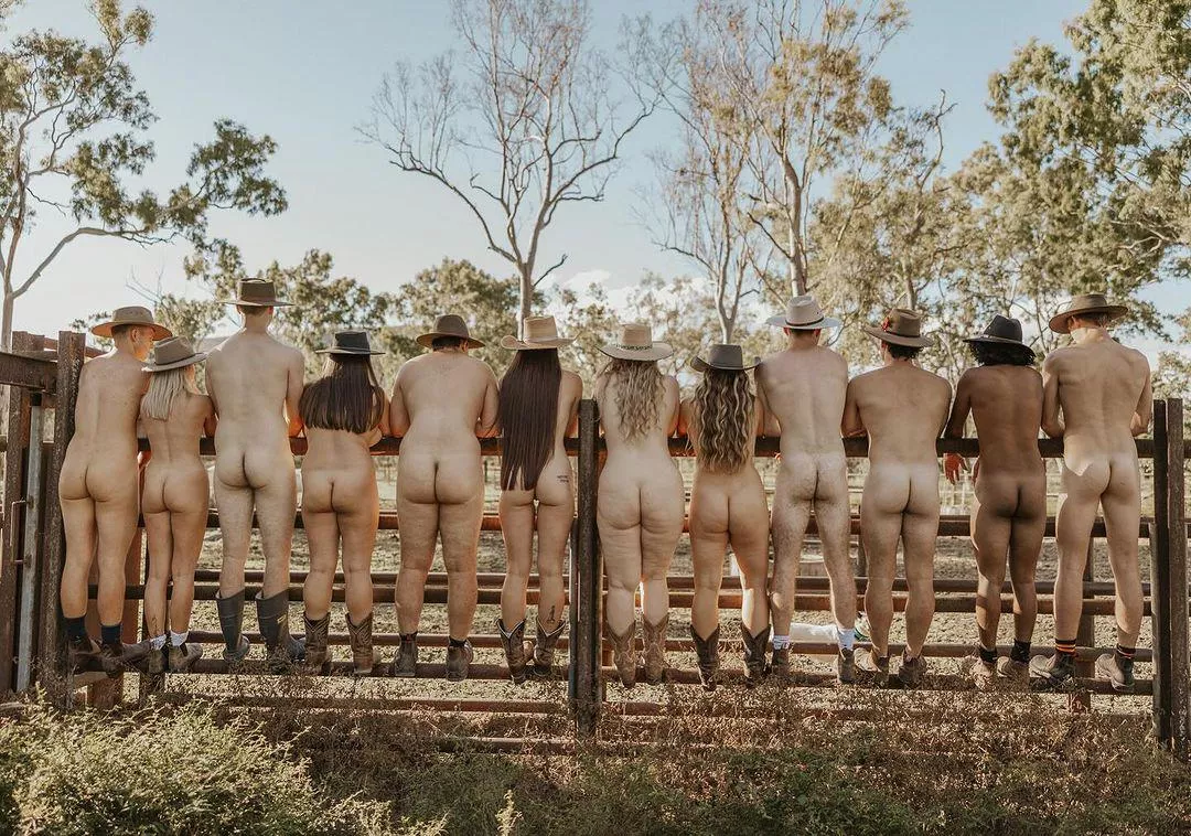 Vets uncovered, more bums