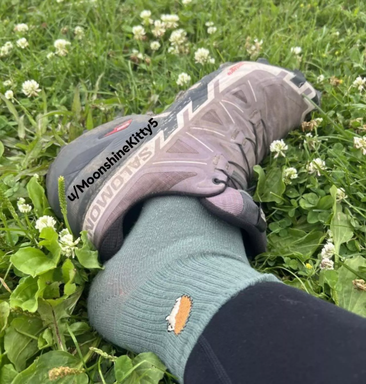 Want a sniff after my long run? 🥵🤤