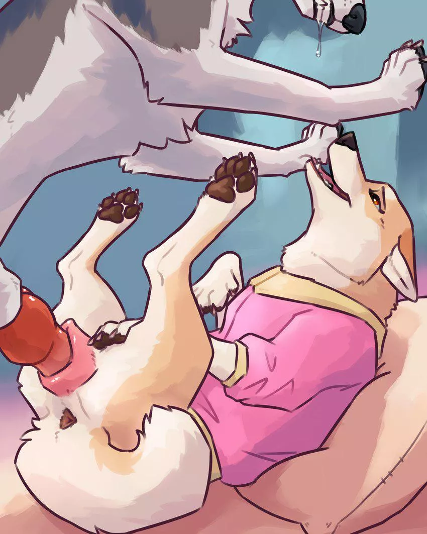 what are you doing if you find your cute doggos like this?