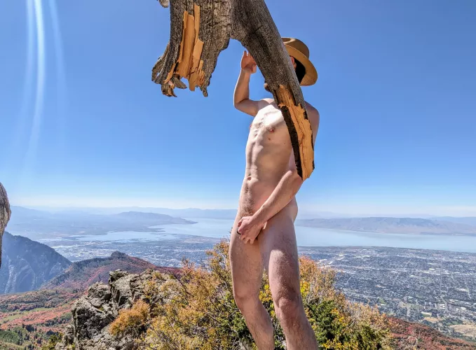 What do you think of these views?