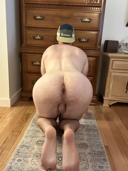 What do you think? Want to use me? 