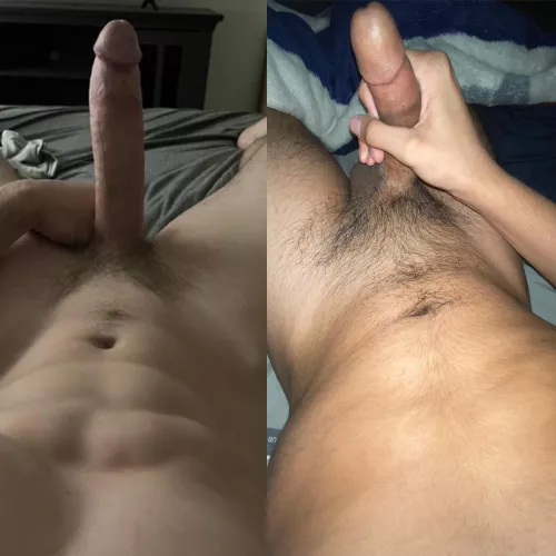 Which dick do you like more and why?