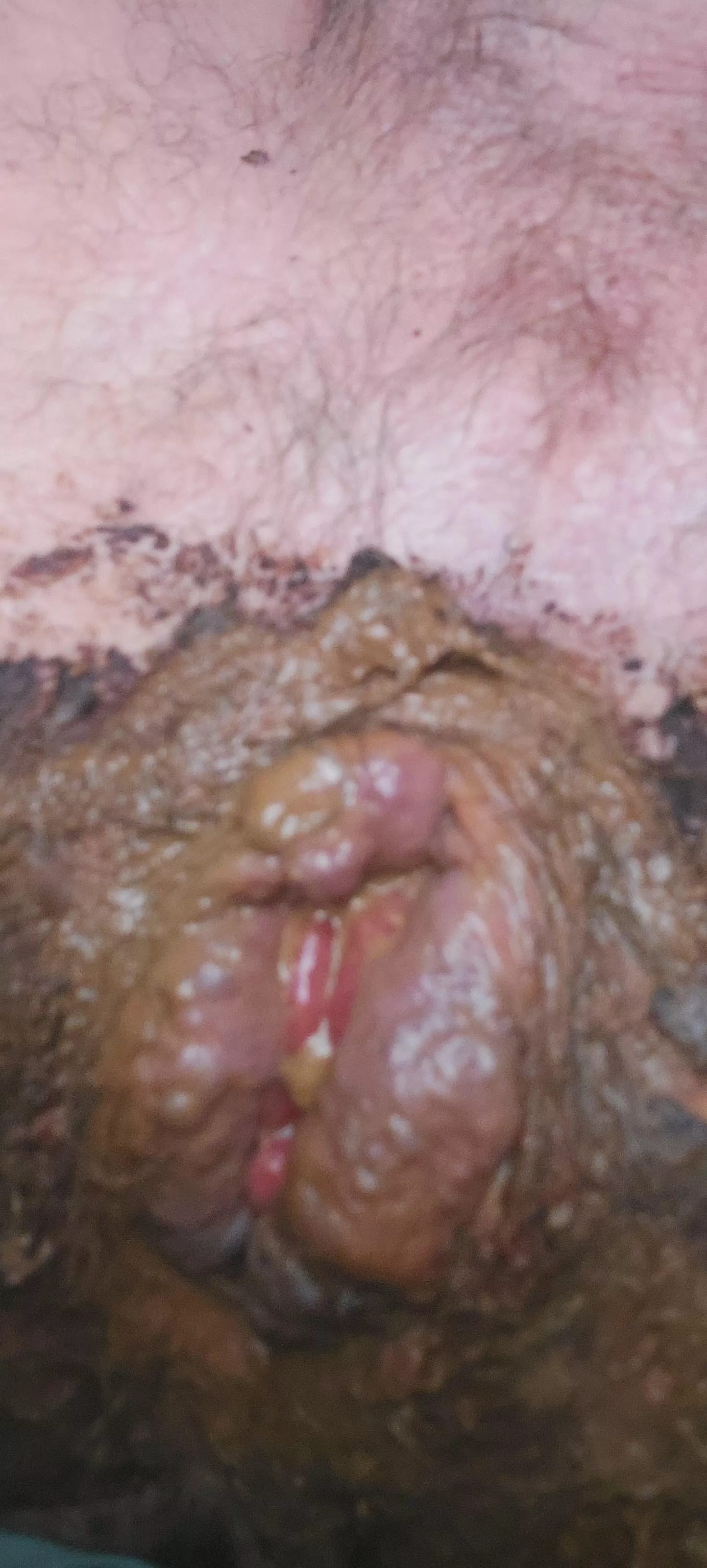 Why is this so much fun.