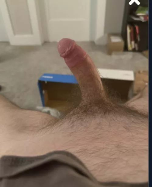 Wilson County looking 