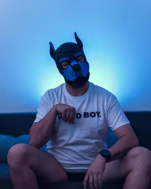 Woof! Dog wants to cuddle