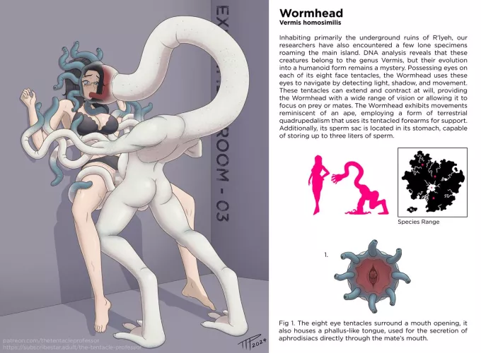 Wormhead; Vermis homosimilis (@TheTProfessor/The Tentacle Professor)