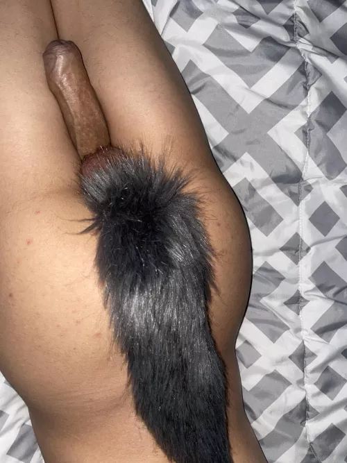 Would u fuck this fox??