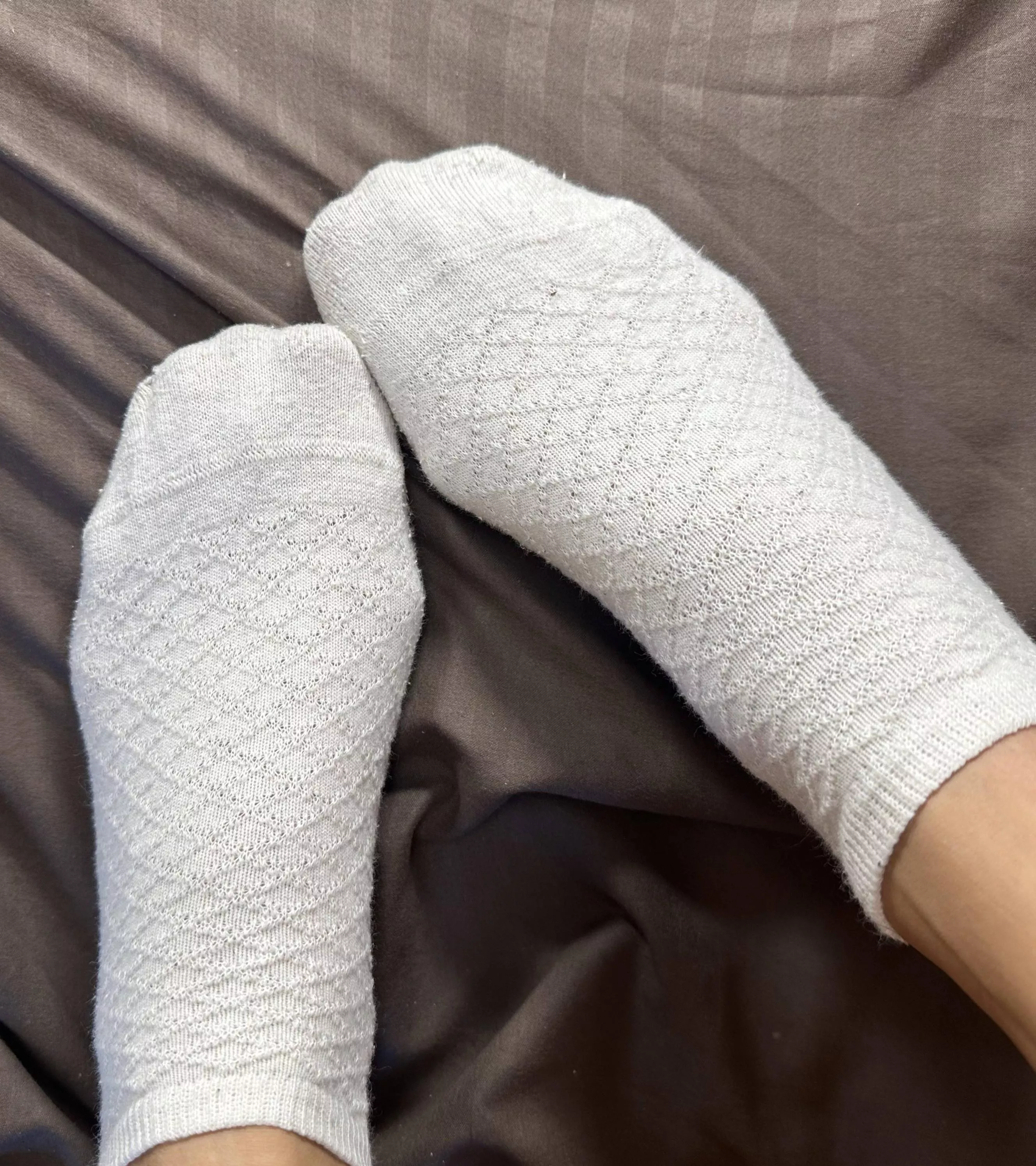 Would you enjoy my feet on your face