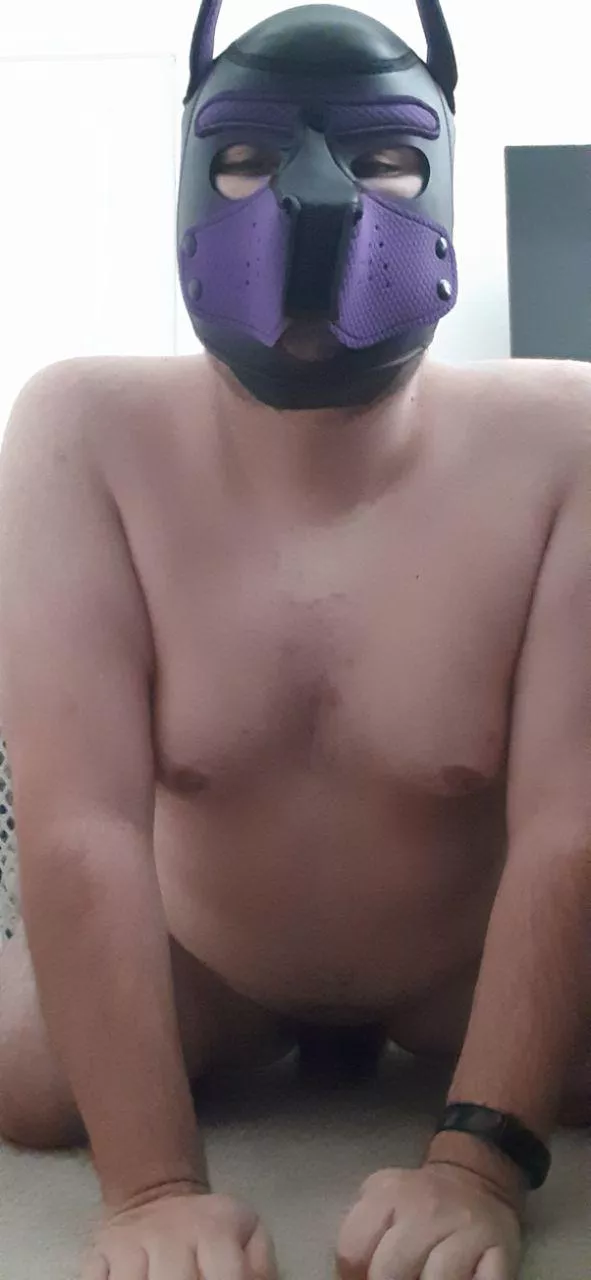 Would you give this puppy a treat~