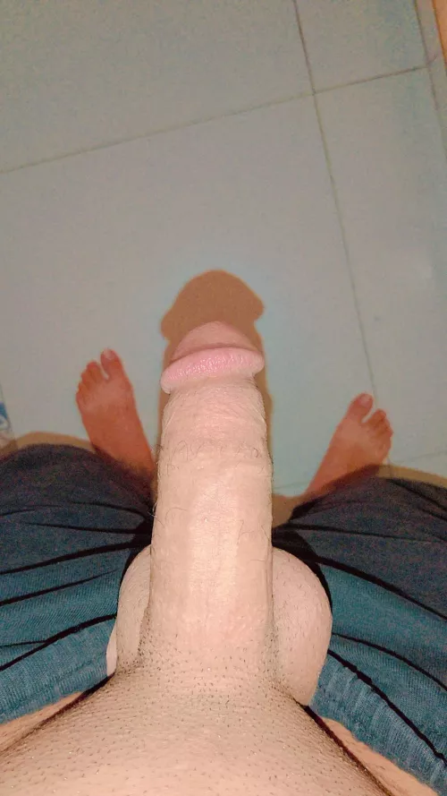 24 top looking for fun sc hotdick0088