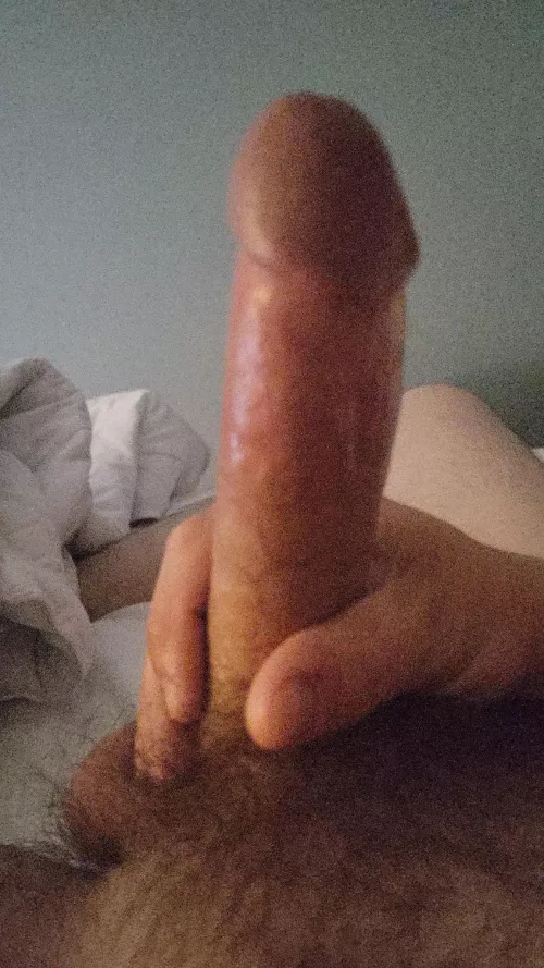 25m looking for fem/trans, love watching porn or playing together. Can host all day/night