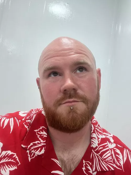 37M Bi Wilmington- Looking for new friends to chill with. (Singles and couples)