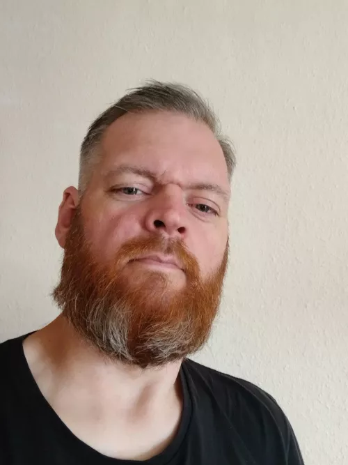 6ft8 curious guy Exeter who wants me to be their toy today 