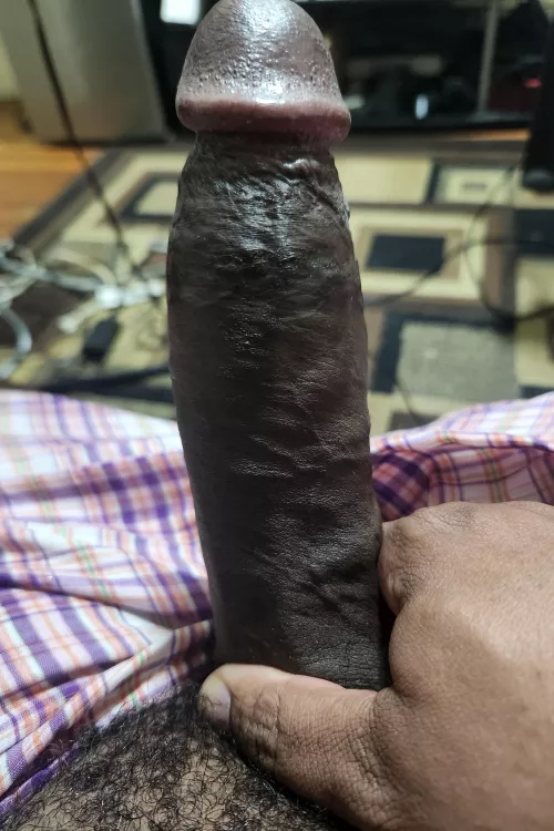 7in Cut; Hard; Black Dick in New Jersey Craving to Frot Cut Dick in NJ Age 18-50 or Trib Sandwich with My Dick In Between