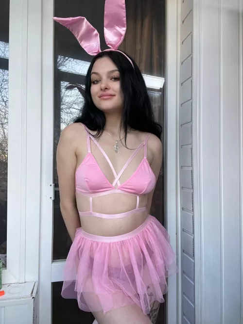 a bunny that gives pleasure