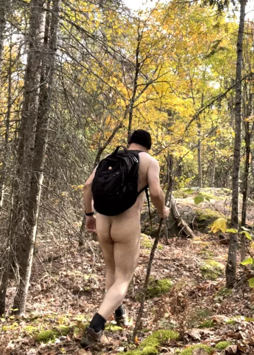 A lovely autumn hike