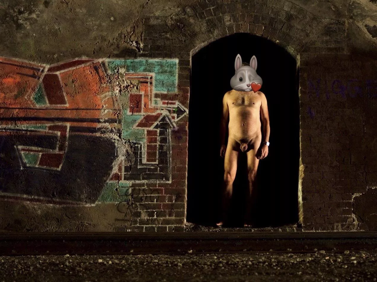 Abandoned rail tunnel