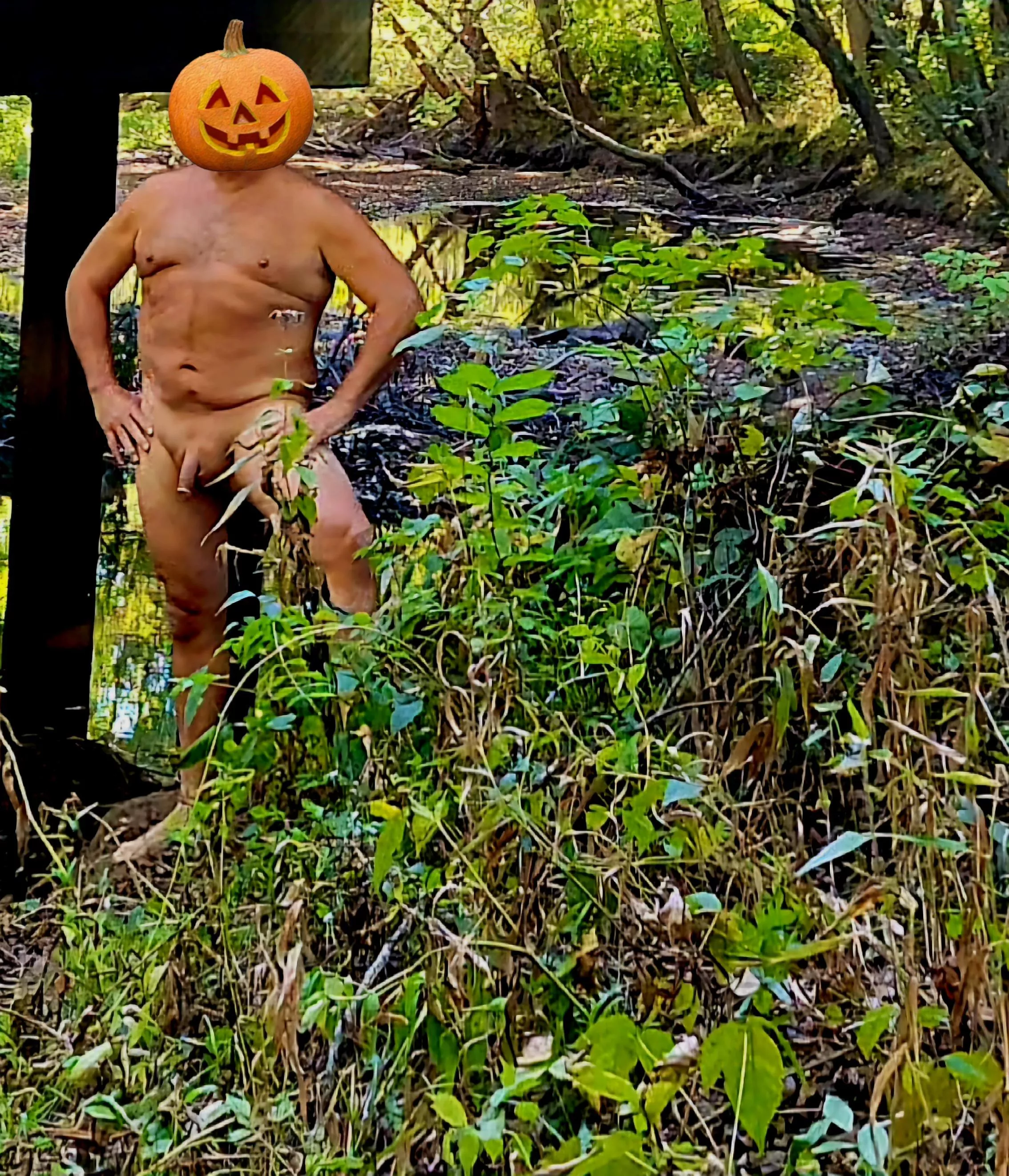 Another a October morning and naked in the woods.