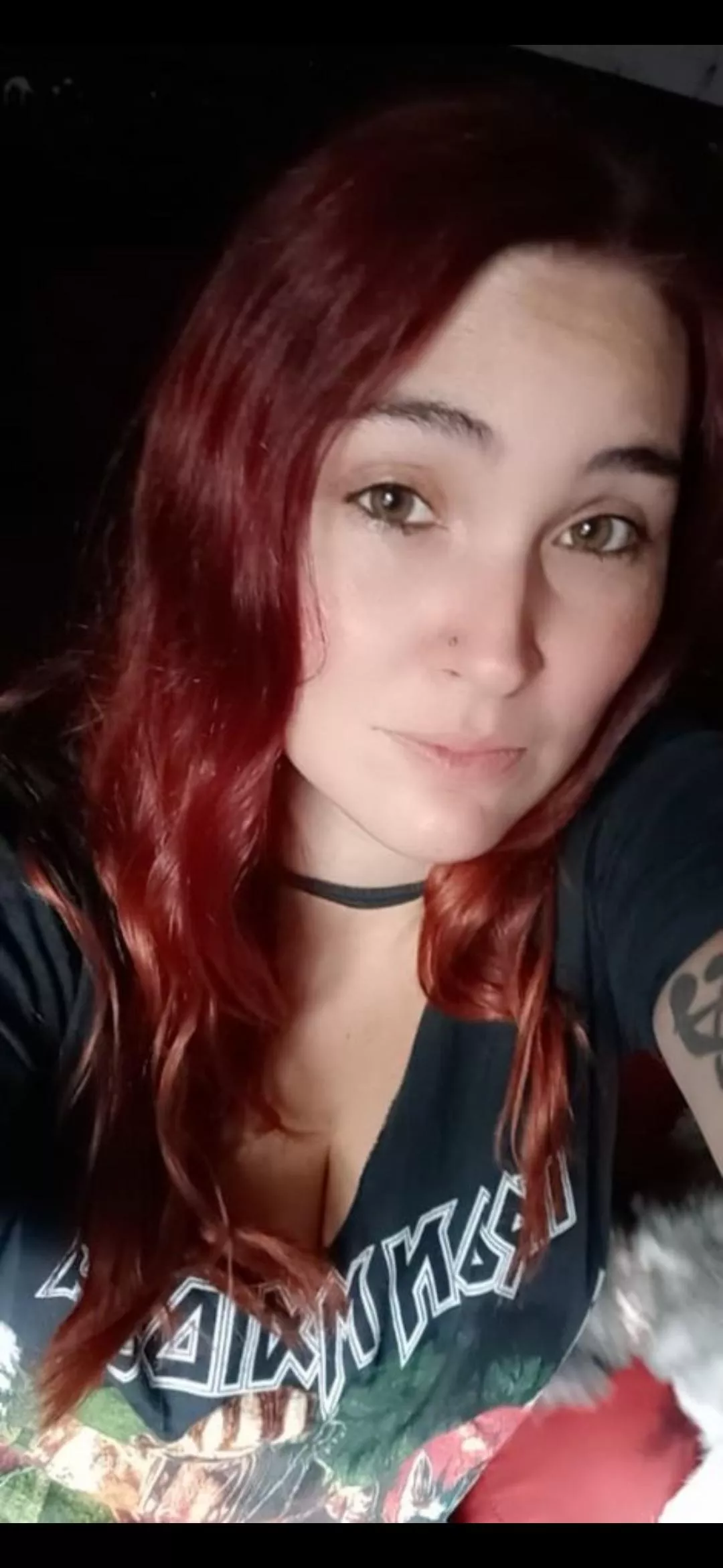 Any bulls? SW PA, MD, VA, OH?