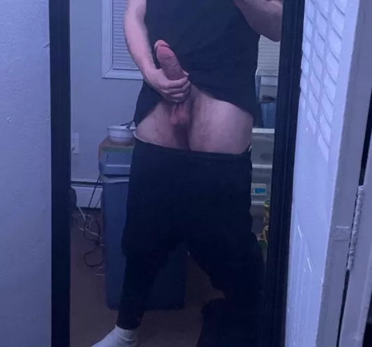 Any couples want a young bull?