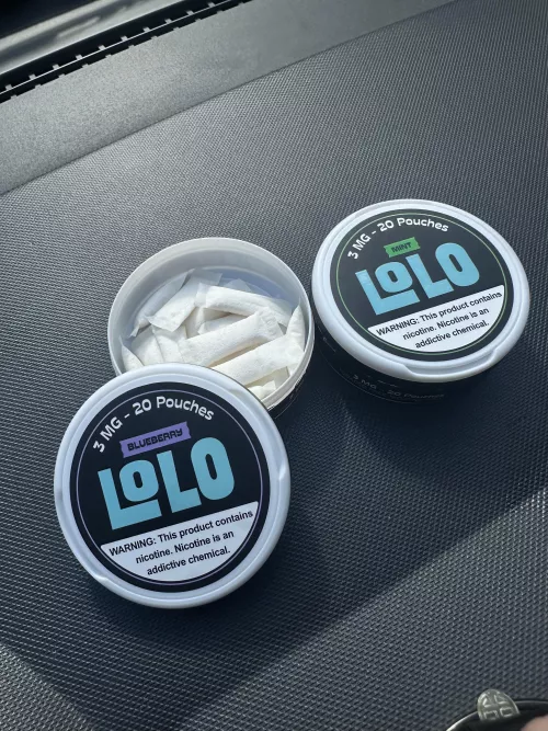 Anybody else try LoLo Pouches?