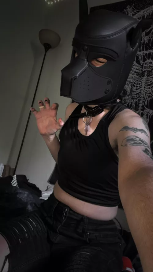 anybody have an IG they pet post on?? drop them or follow me @saddoggyy