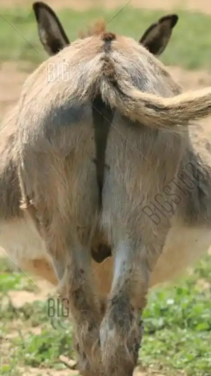 Before any of you say 