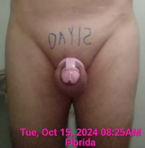 Caged beta on her 15th day of Locktober 