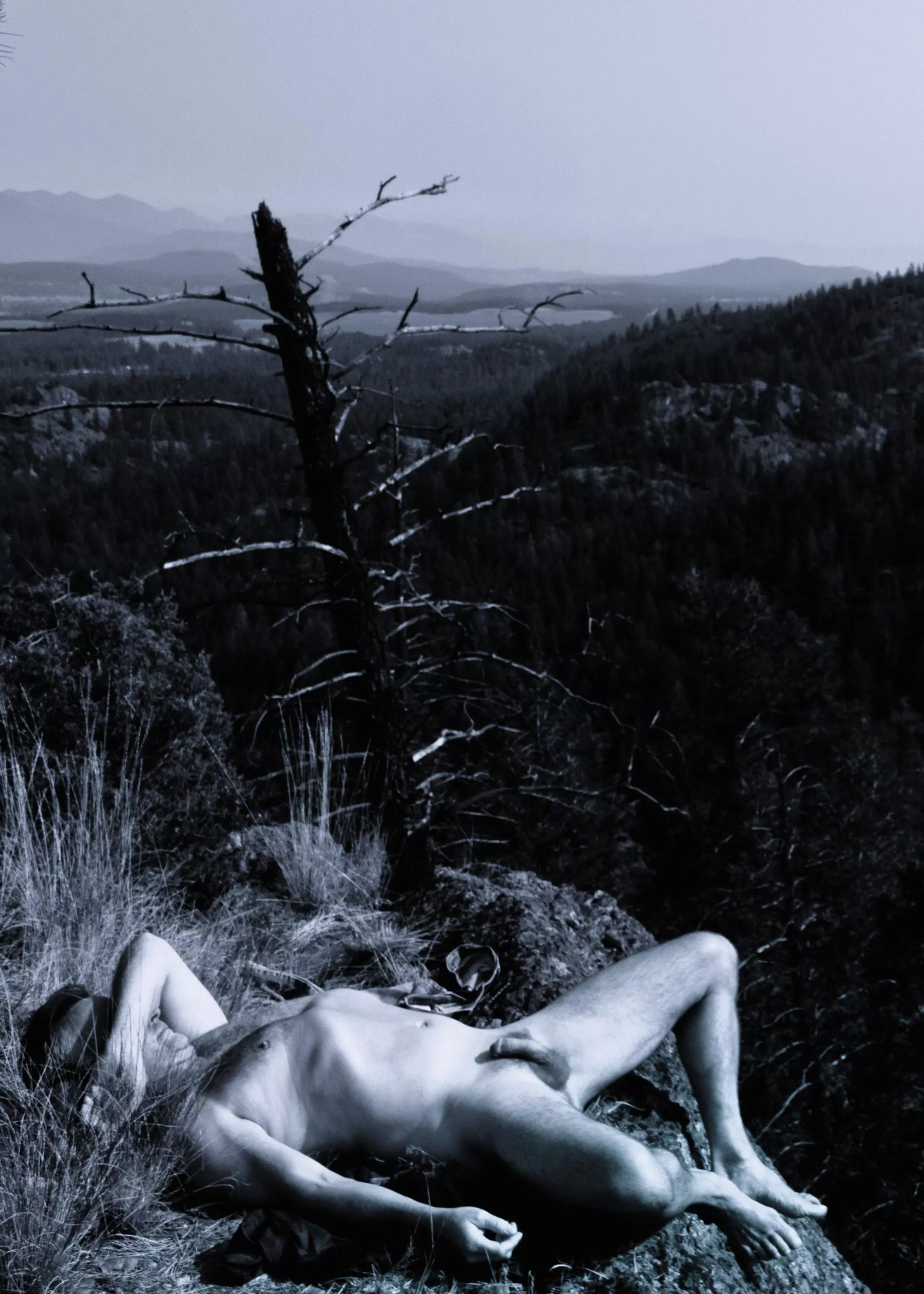 caught resting at the top after a long walk