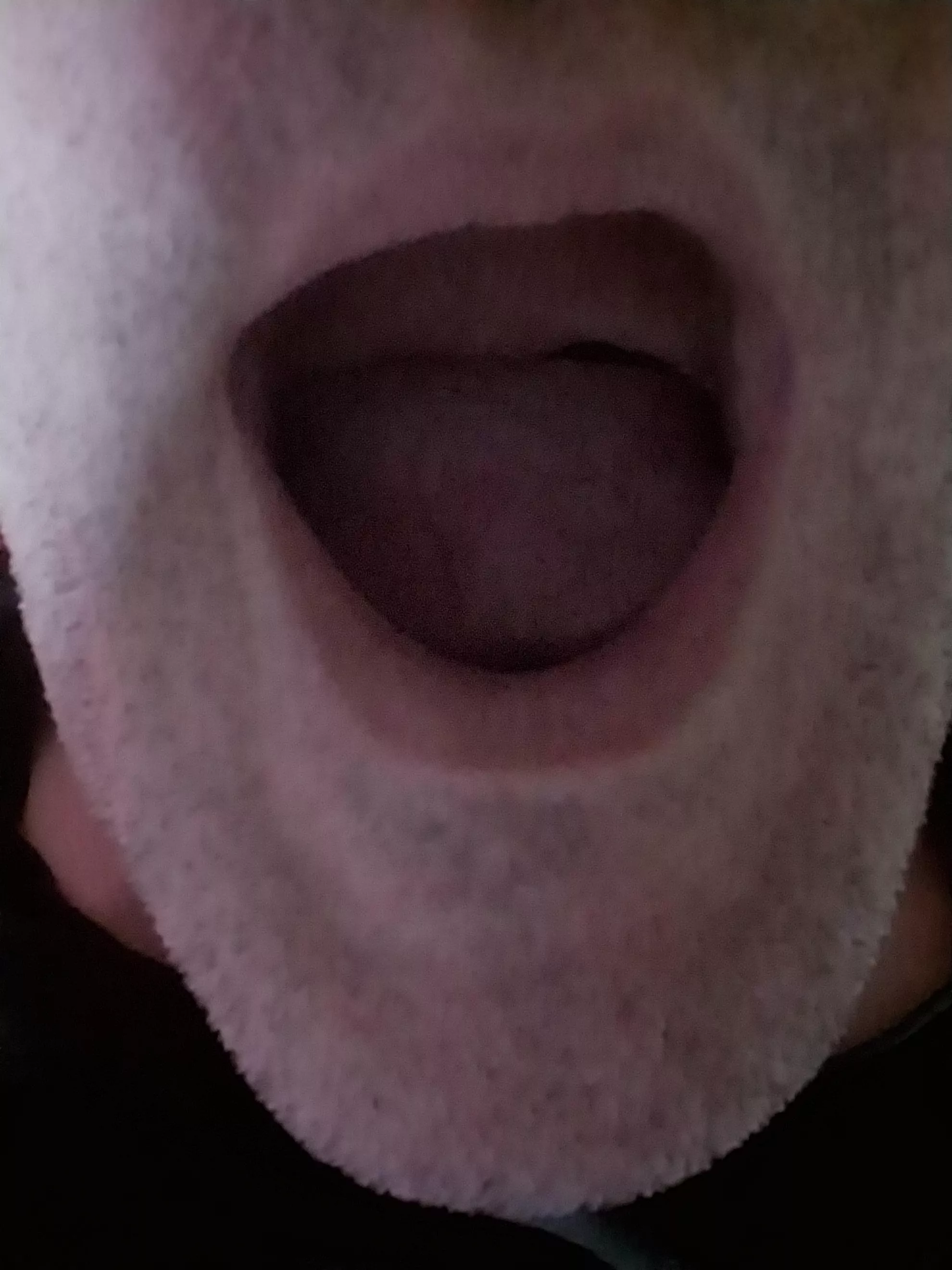 Cocksucker Tonawanda Kenmore east hs area corner of fries and Calvin. I dare a guy to show up and fuck my throat while calling me faggot in my room. Idc if you're straight. 