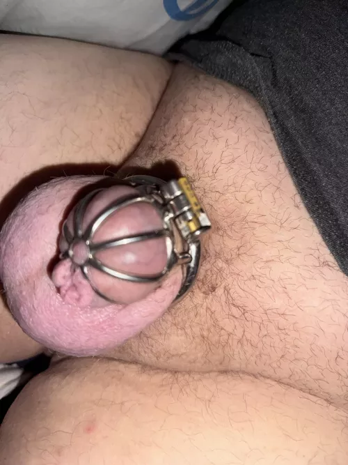 Da will jemand raus zum spielen…