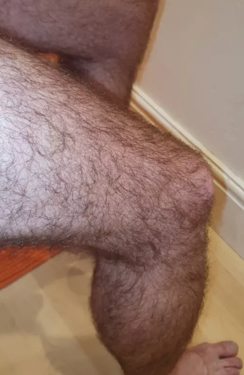 Extra furry this morning