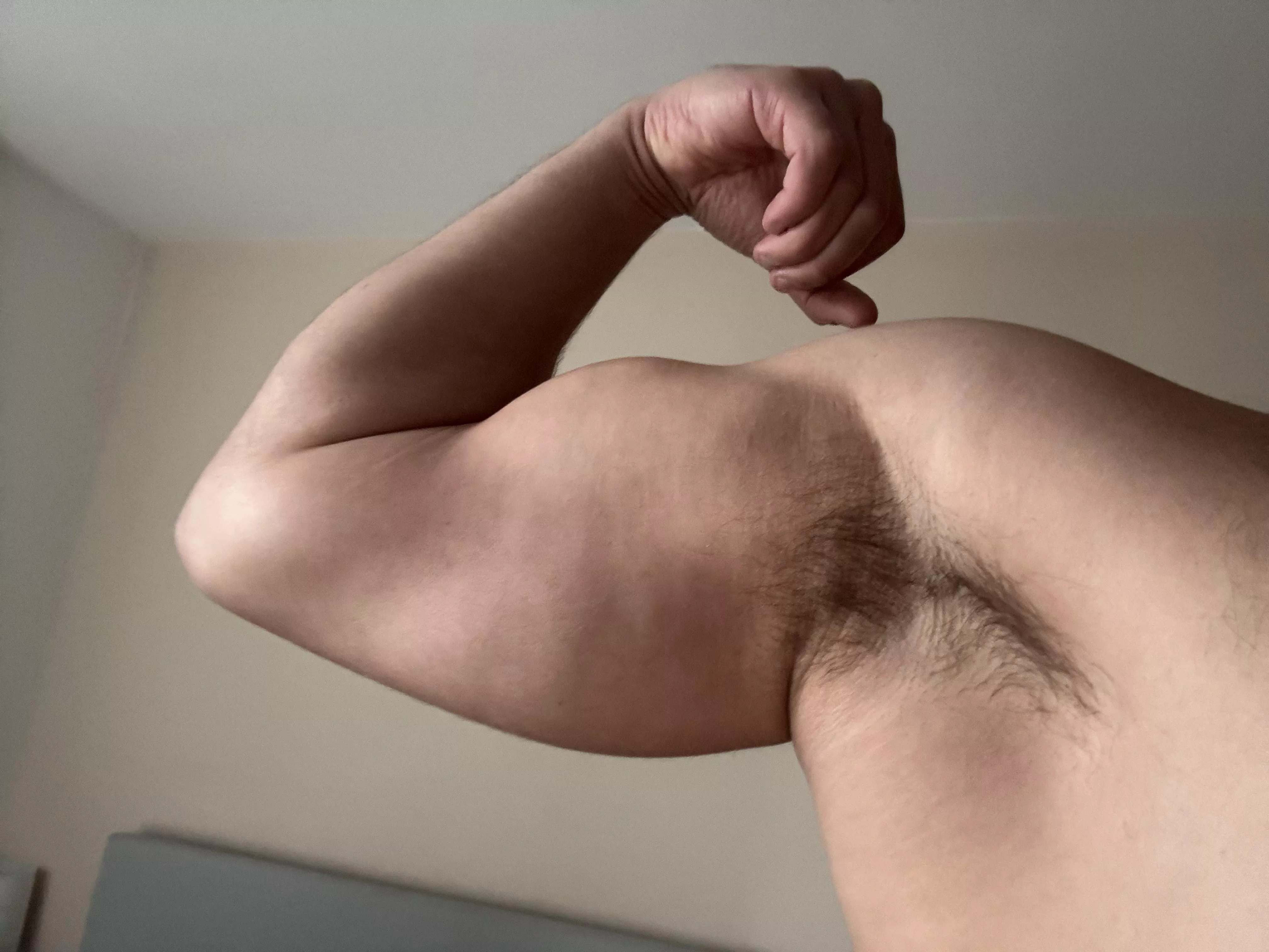 First post here! What do u think of these pits?